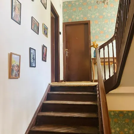 L'ambroise Apartment Oloron-Sainte-Marie